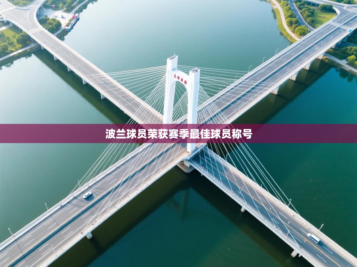 开云体育工单提交入口-波兰球员荣获赛季最佳球员称号