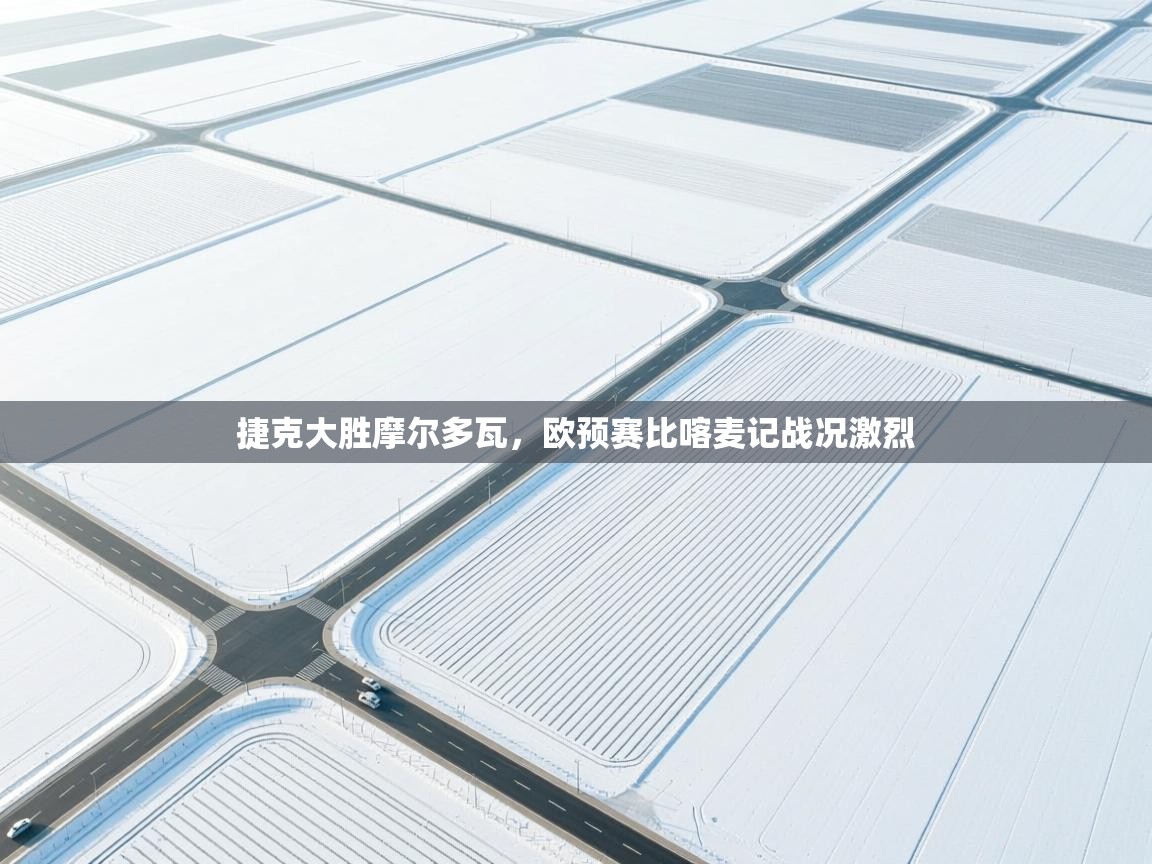 开云体育在线下载-捷克大胜摩尔多瓦，欧预赛比喀麦记战况激烈  第1张