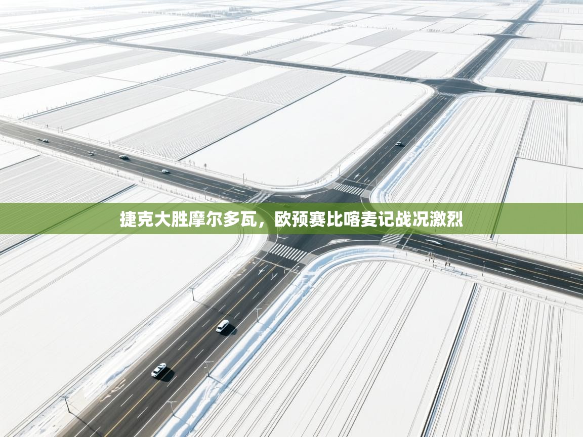 开云体育在线下载-捷克大胜摩尔多瓦，欧预赛比喀麦记战况激烈  第3张