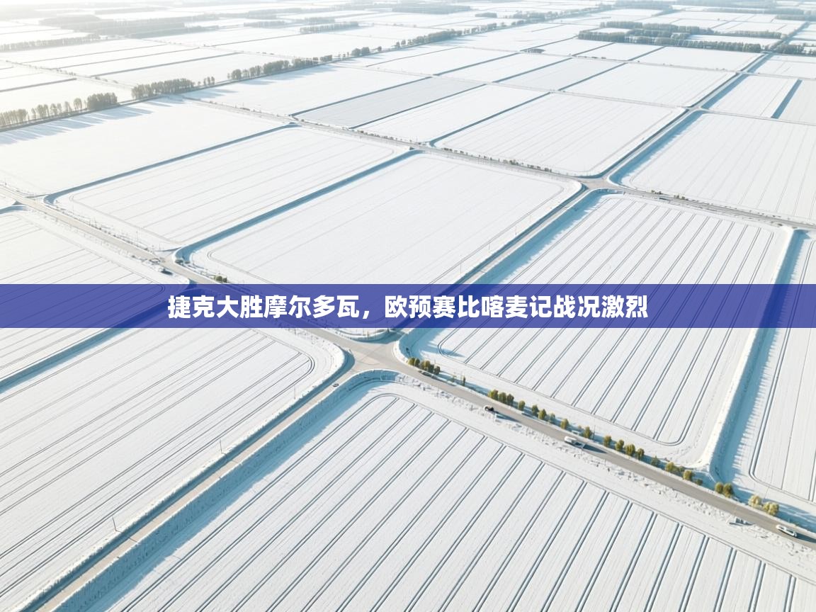 开云体育在线下载-捷克大胜摩尔多瓦，欧预赛比喀麦记战况激烈  第4张