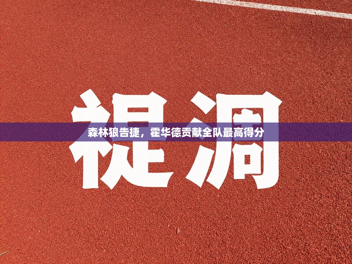 开云APP-森林狼告捷，霍华德贡献全队最高得分  第4张